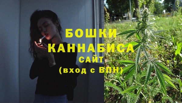крисы Бугульма