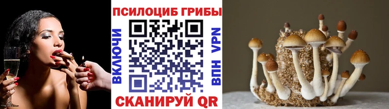 Псилоцибиновые грибы Psilocybine cubensis  дарнет шоп  Дзержинский 